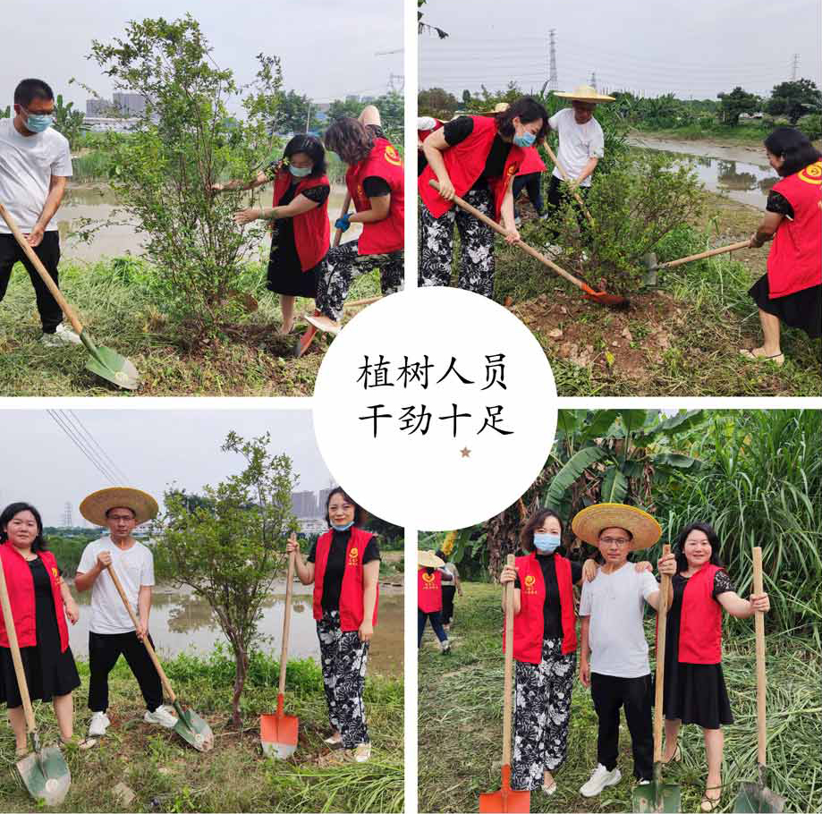 62c3e50621d04.jpg 62c3e50621d04.jpg